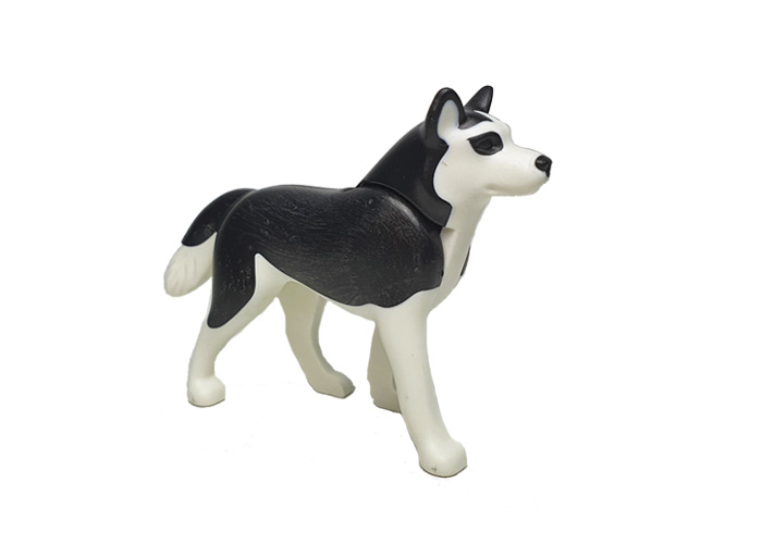 Artículo de Playmobil, Perro Husky Siberiano